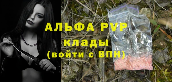 дживик Беломорск