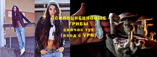 стафф Баксан