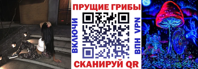 Псилоцибиновые грибы Magic Shrooms  hydra ТОР  Лыткарино 